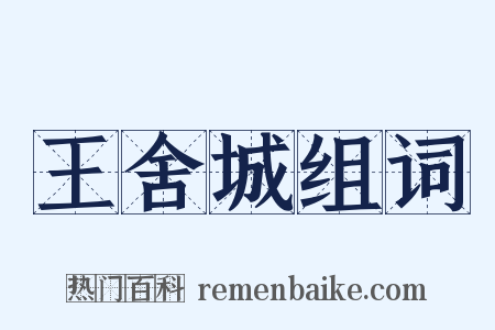 王舍城组词是什么意思的图片